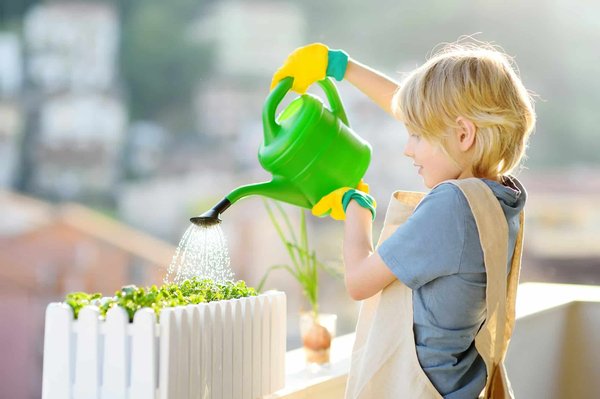 What are the best self-watering systems for indoor plants in a UK home office?