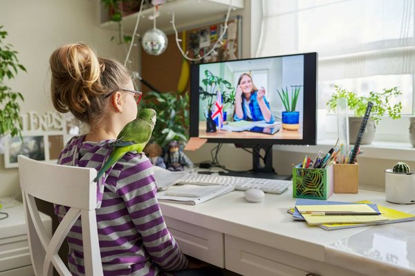 What Are the Most Effective Methods for Teaching a Parrot Not to Bite?