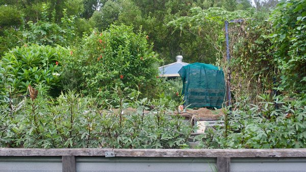 How Can Urban Permaculture Design Transform UK's Food Systems?