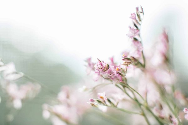 How to Pick the Right Shade of Pastel Trousers for a Springtime Business Casual Look?